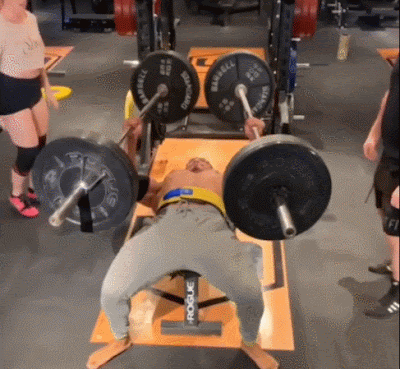 453453453.gif