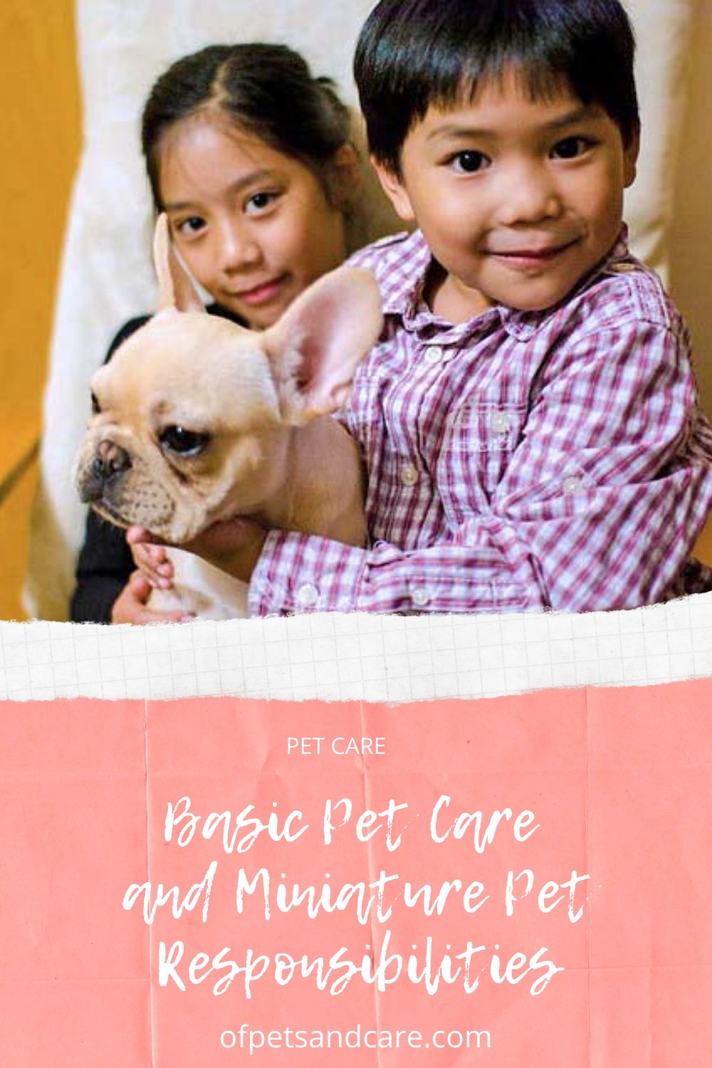 Basic Pet Care and Miniature Pet Responsibilities