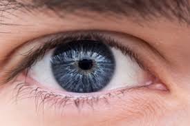 Eye png Eye png