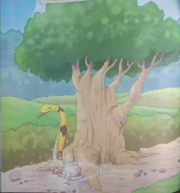 गिरगिट का सपना की कहानी