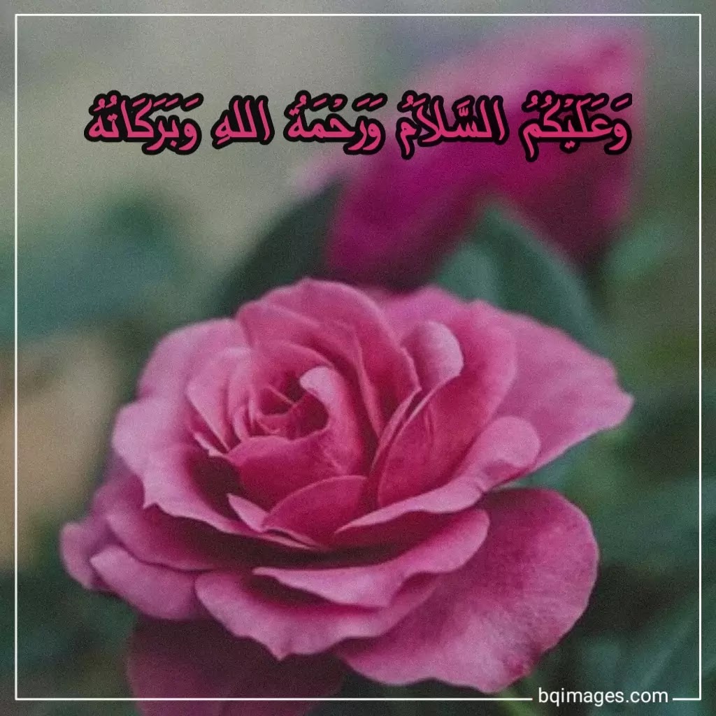 Alaikum in urdu salam Islamic Greetings: