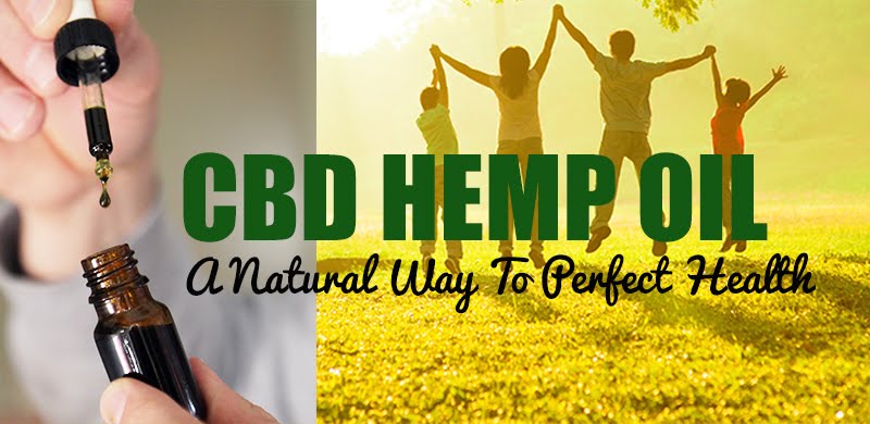 *Visit our Hemp and CBD Store Today! Just click on the image below.
