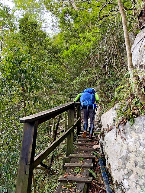 佳保溪畔木棧道 佳保溪畔木棧道