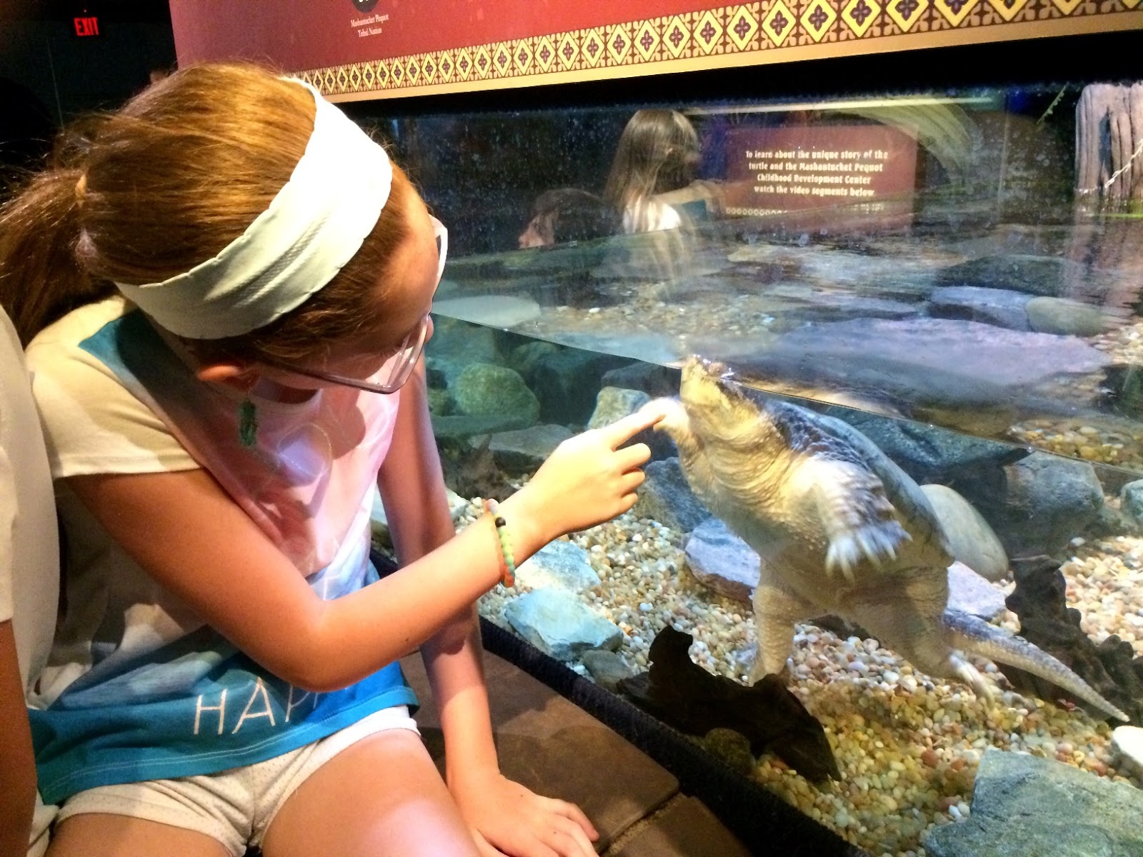 Evan and Lauren�s Cool Blog 8/15/16 Mystic Aquarium So