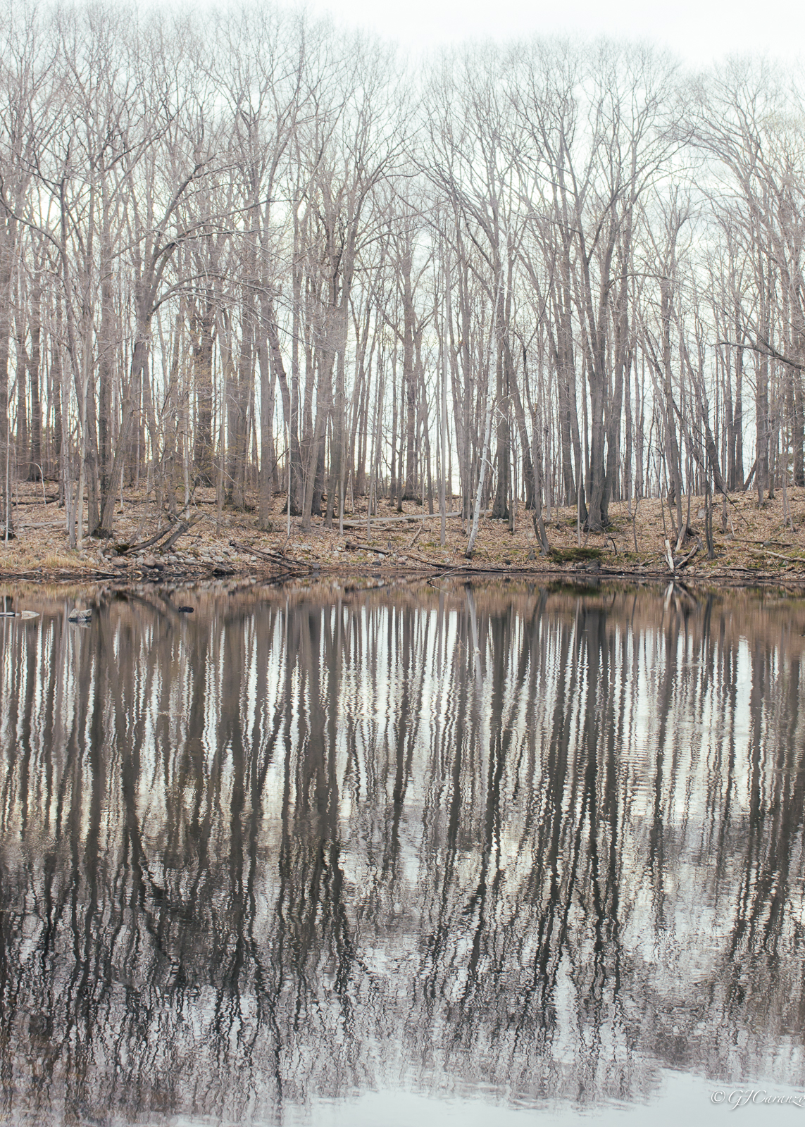 Morris Island Conservation Area Morris Island Conservation Area