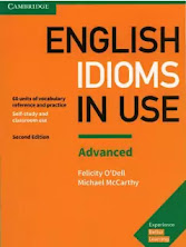 English Idioms in Use Advanced PDF