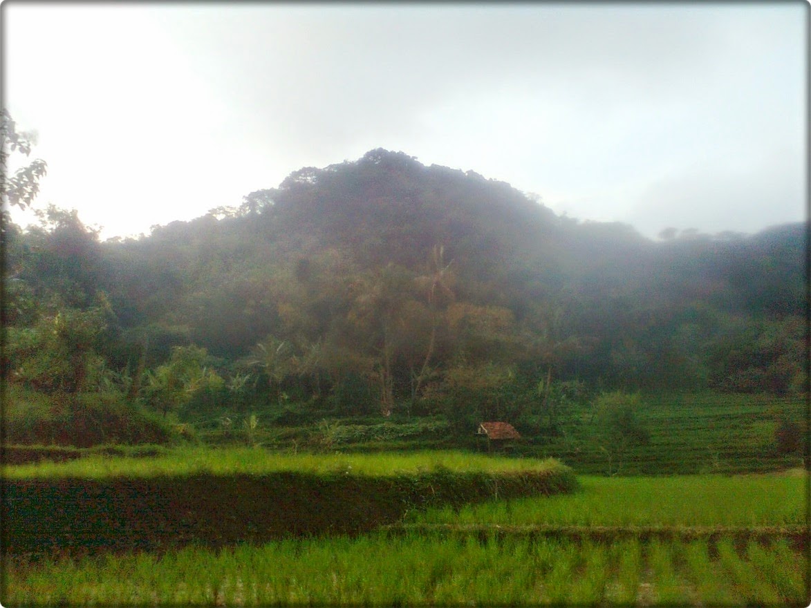 Kawasan Cagar Alam Gunung Jagat ~ WELCOME TO THE REAL UNIVERSITY OF
