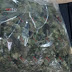 Detiene SSP a uno en posesión de hierba seca al parecer marihuana