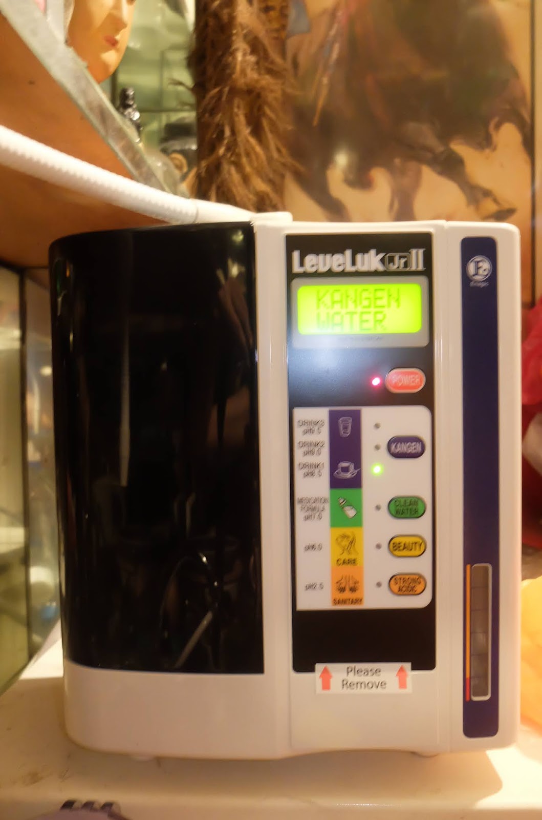 Kee Hua Chee Live!: THE PLANET'S BEST WATER FOR HUMANS AND DOGS (YES