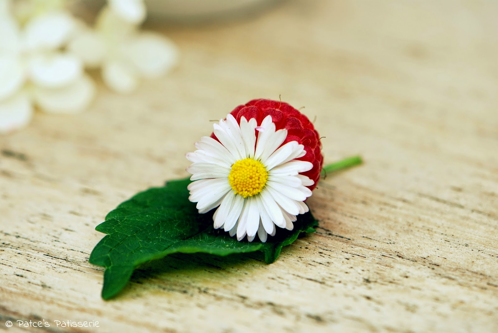 Weißer Schokoladenkuchen mit Himbeeren