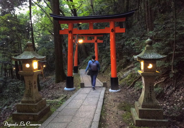 Día 13 - Kyoto (transformación en maiko - Fushimi Inari) - Japón primavera 2016 - 18 días (con bajo presupuesto) (31)