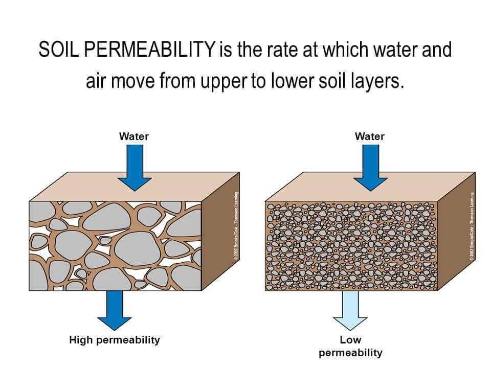 Permeability permeability