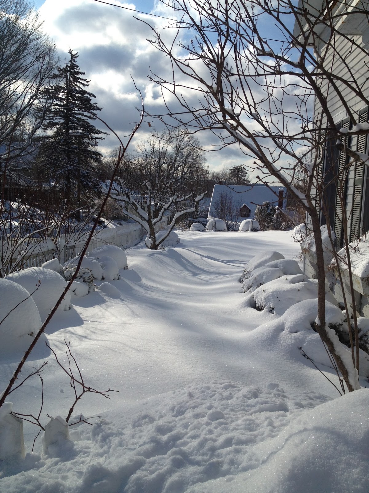 The Gardener's Eye Springtime in New Hampshire
