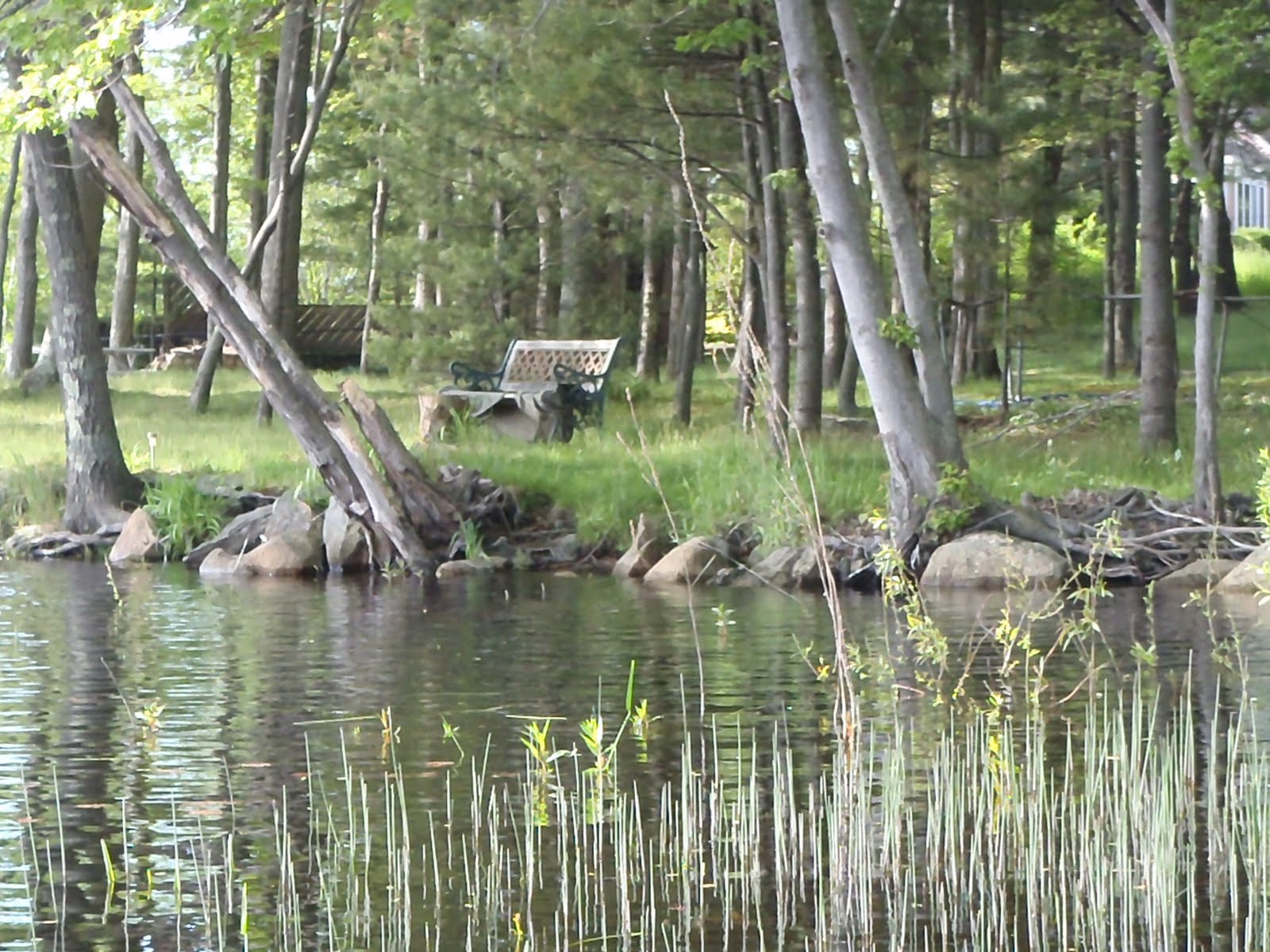 MichalsBrown Adventures MidMay on Lake Nippenicket