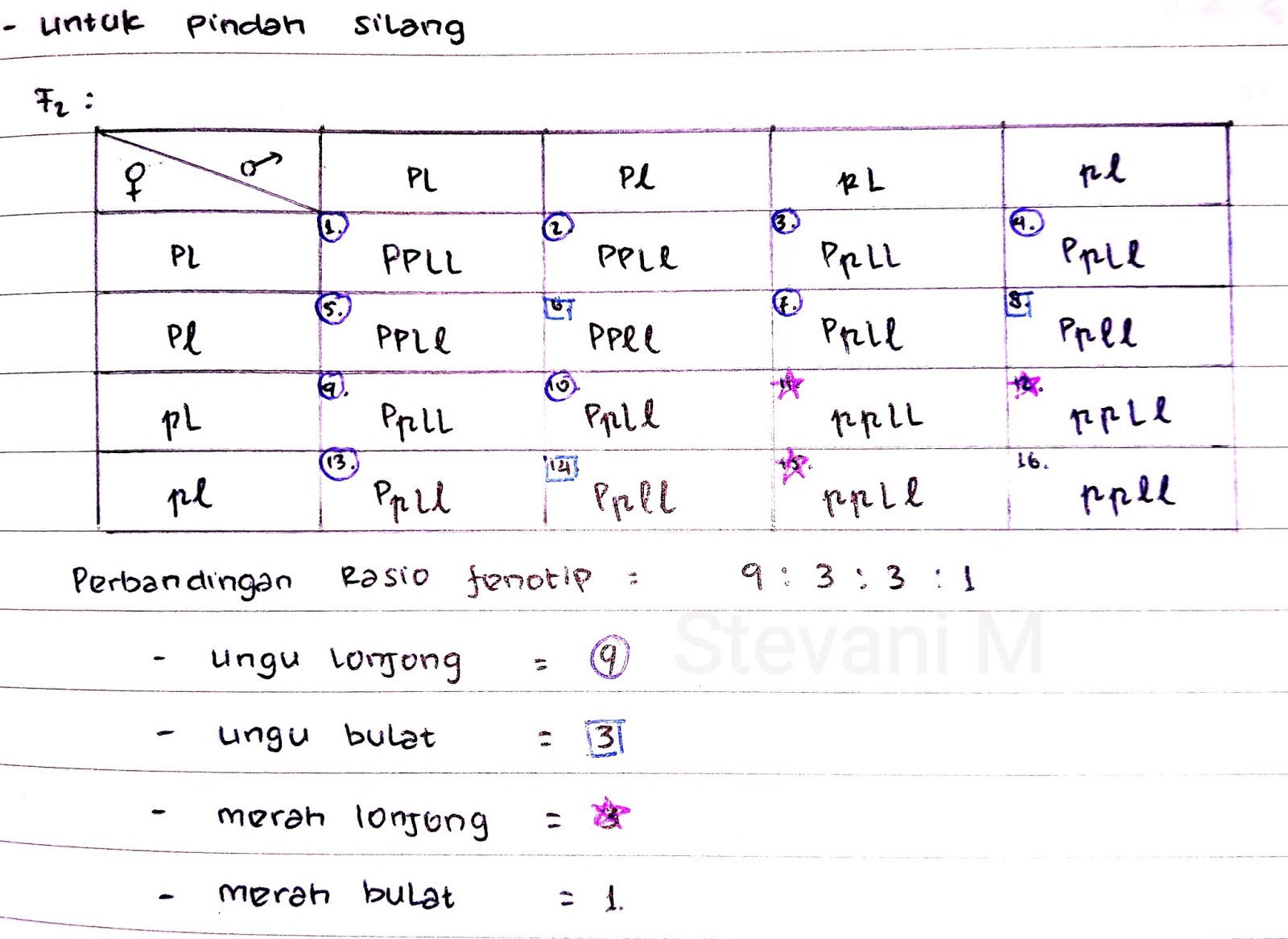 Stevani Manuhutu Ii Lks Tautan Dan Pindah Silang
