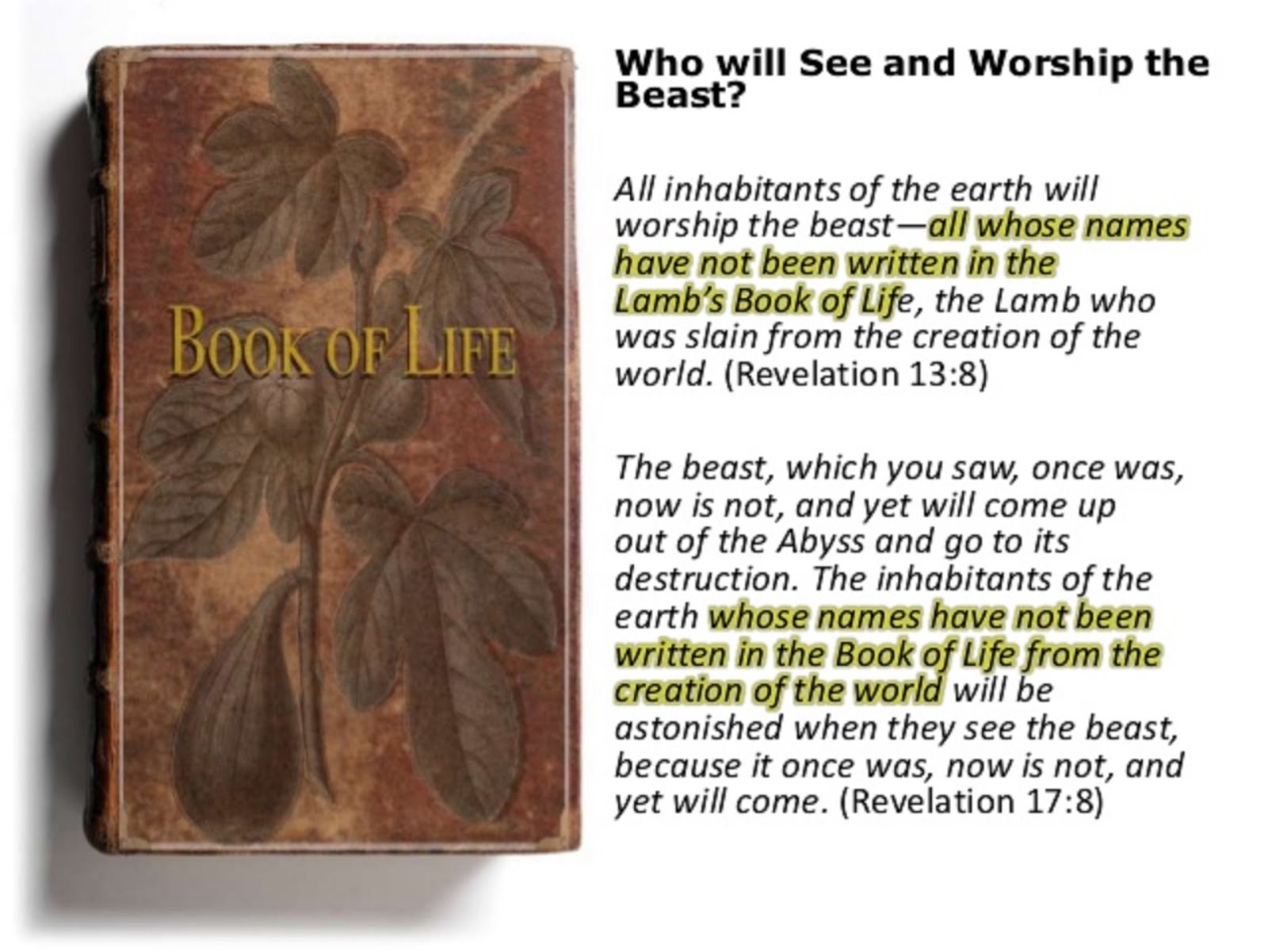 THE BOOK OF LIFE WAS WRITTEN BEFORE THE FOUNDATION OF THE WORLD