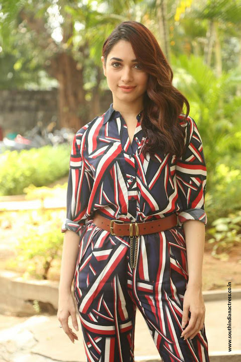 Tamannaah at Queen Movie Launch