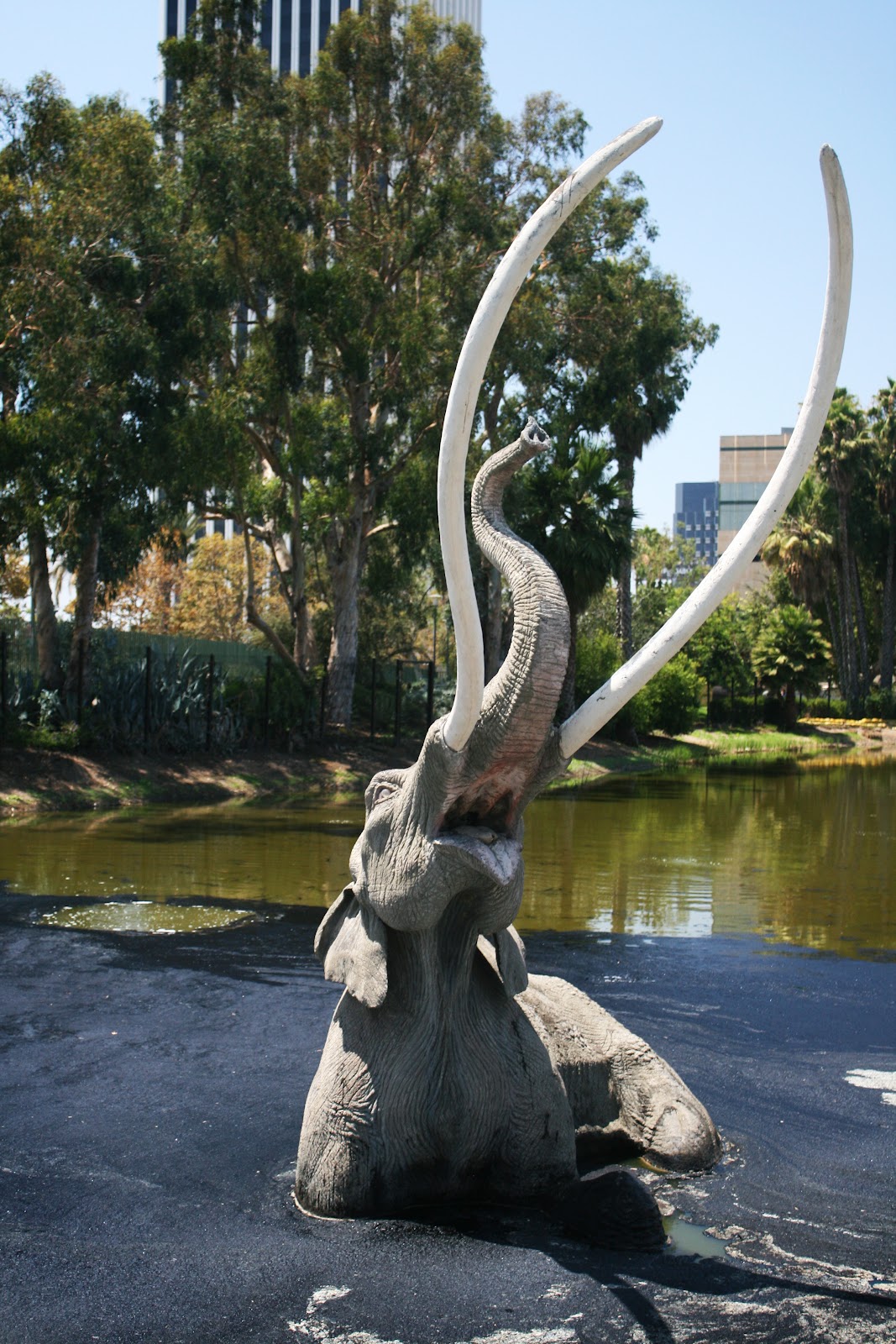 The Contemplative Creative: La Brea Tar Pits & Museum