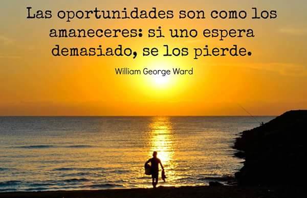 * oportunidades