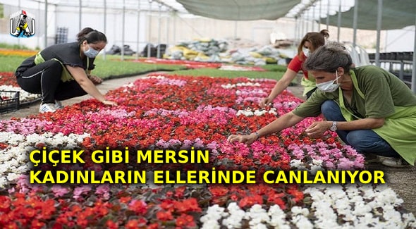 Mersin Büyükşehir Belediyesi,Vahap Seçer,Mersin Haber,
