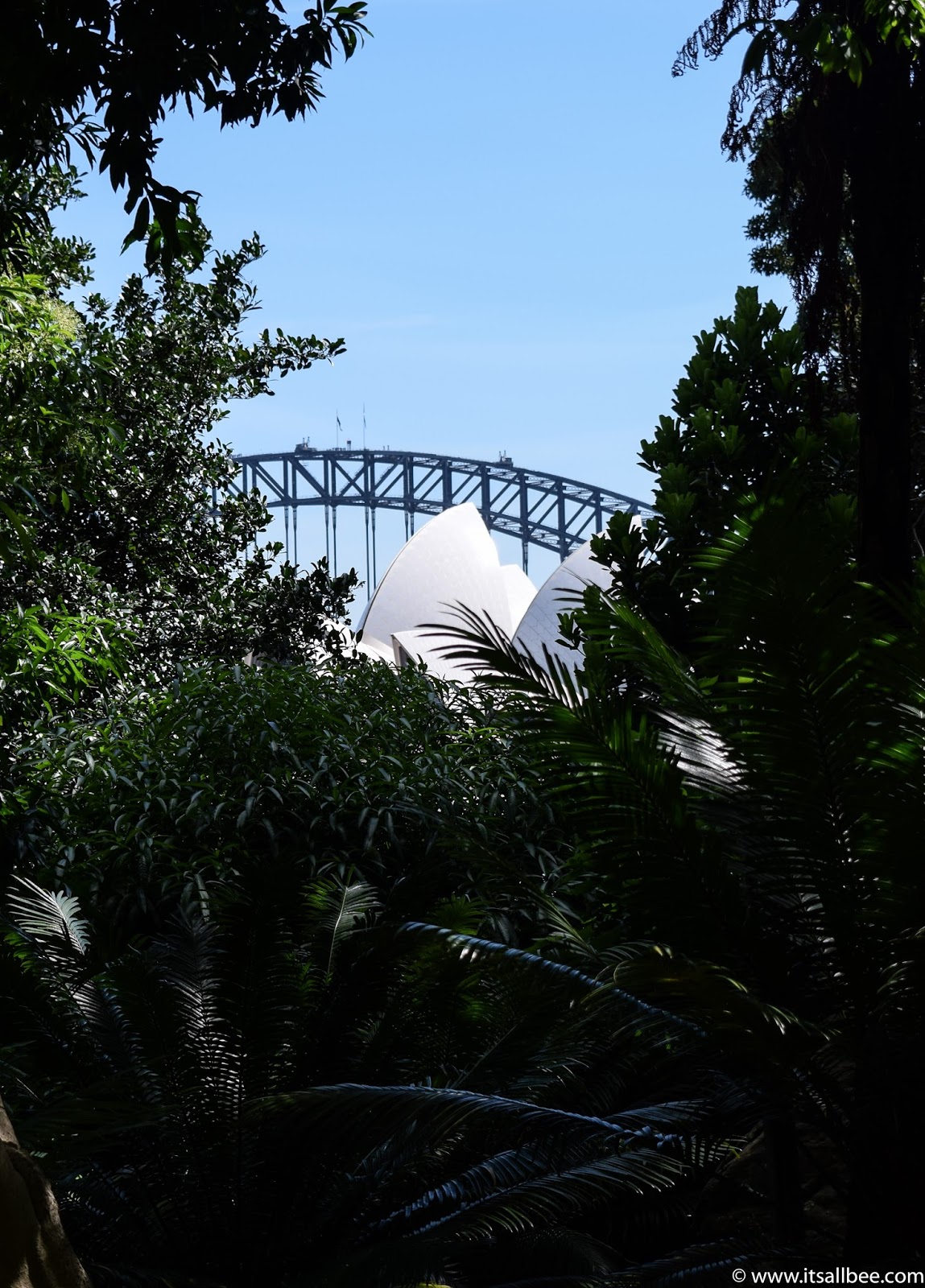 Sydney Botanical Gardens + Views From Mrs Macquarie's Chair 