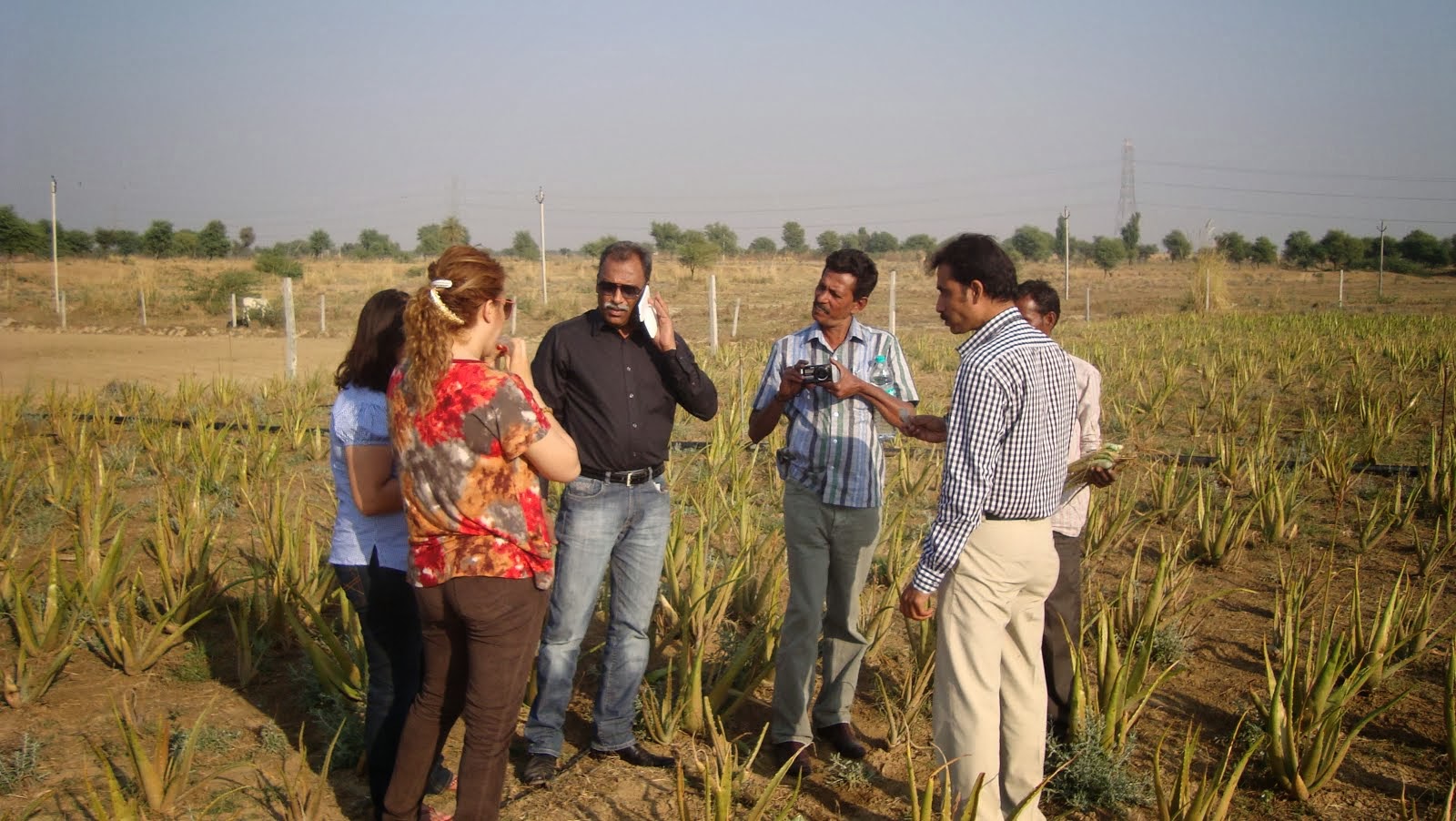 ORGANIC FIELD VISIT