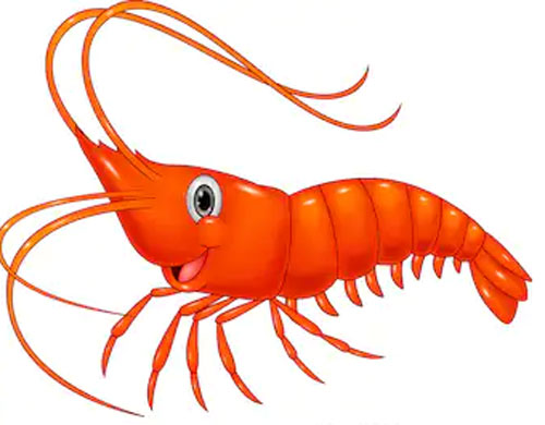 Soal Tematik Kelas 5 Tema 4 Kompetensi Dasar IPA dan Kunci