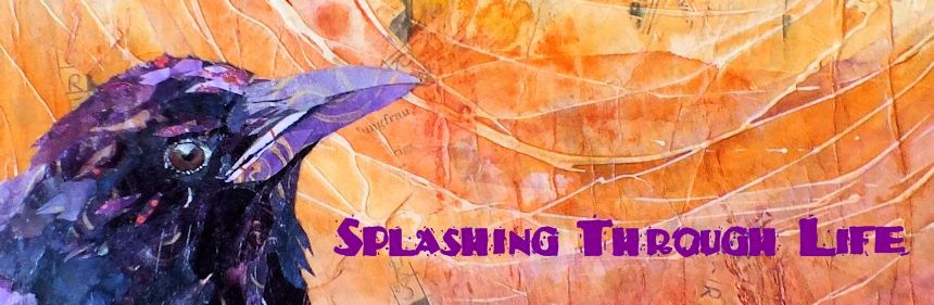 Splashing Through Life