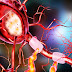 Best neurologist in Rangpur, Bangladesh and doctor list in Rangpur (রংপুরের সেরা নিউরোলজি বিশেষজ্ঞ ডাক্তা)