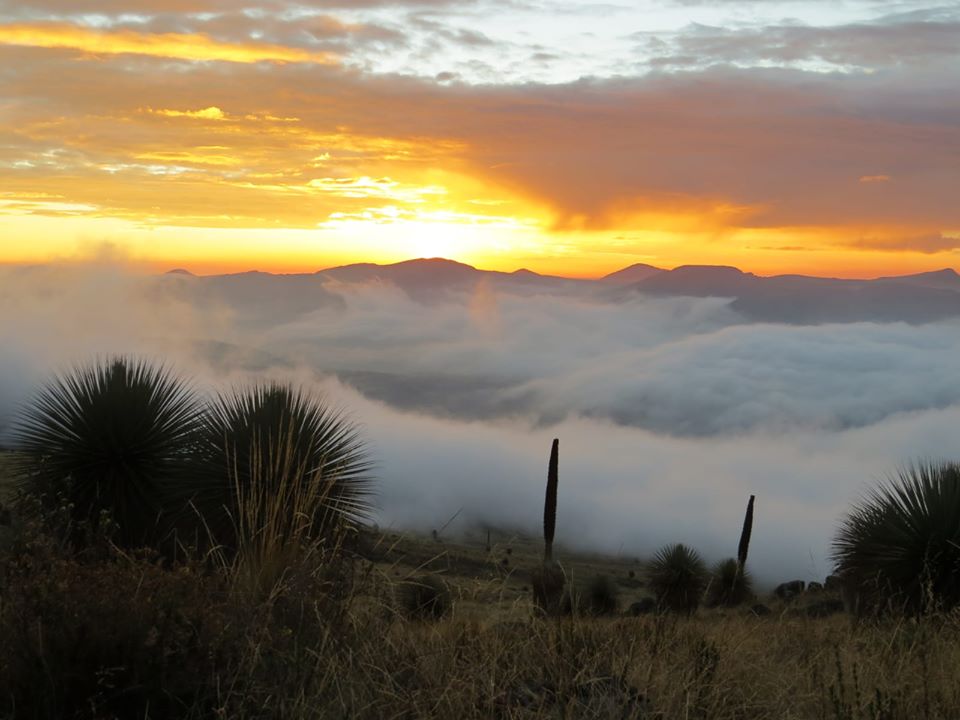 Santuario Nacional de Calipuy