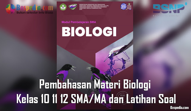 Pembahasan Materi Biologi Kelas 10 11 12 SMA/MA dan Latihan Soal