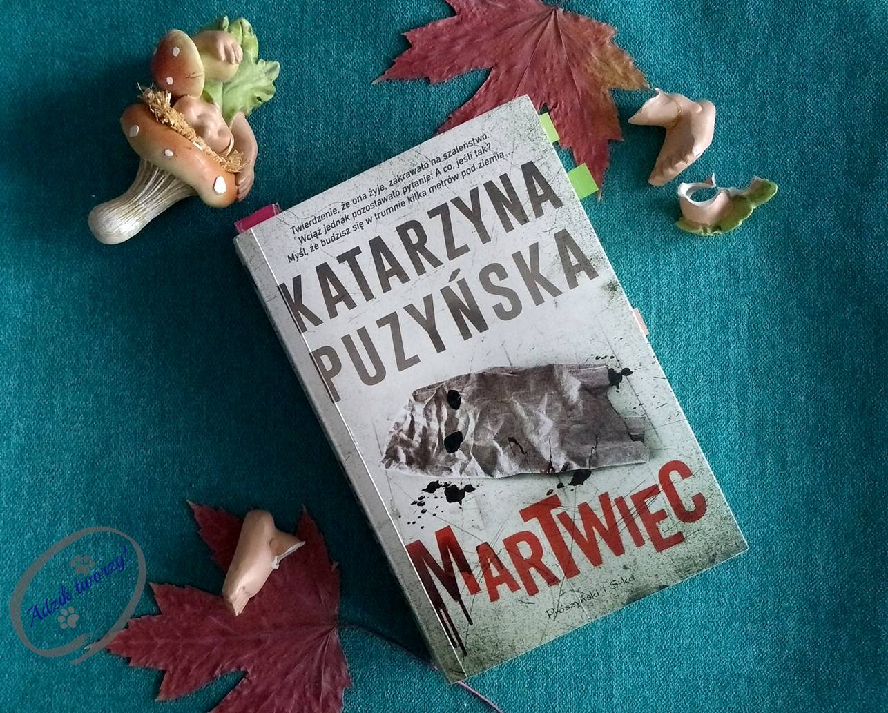 "Martwiec" Katarzyna Puzyńska seria "Lipowo" - recenzja książki - Adzik tworzy
