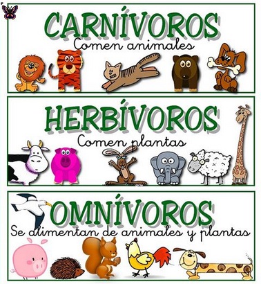 Ciencias Naturales Grado Segundo Animales Carnivoros