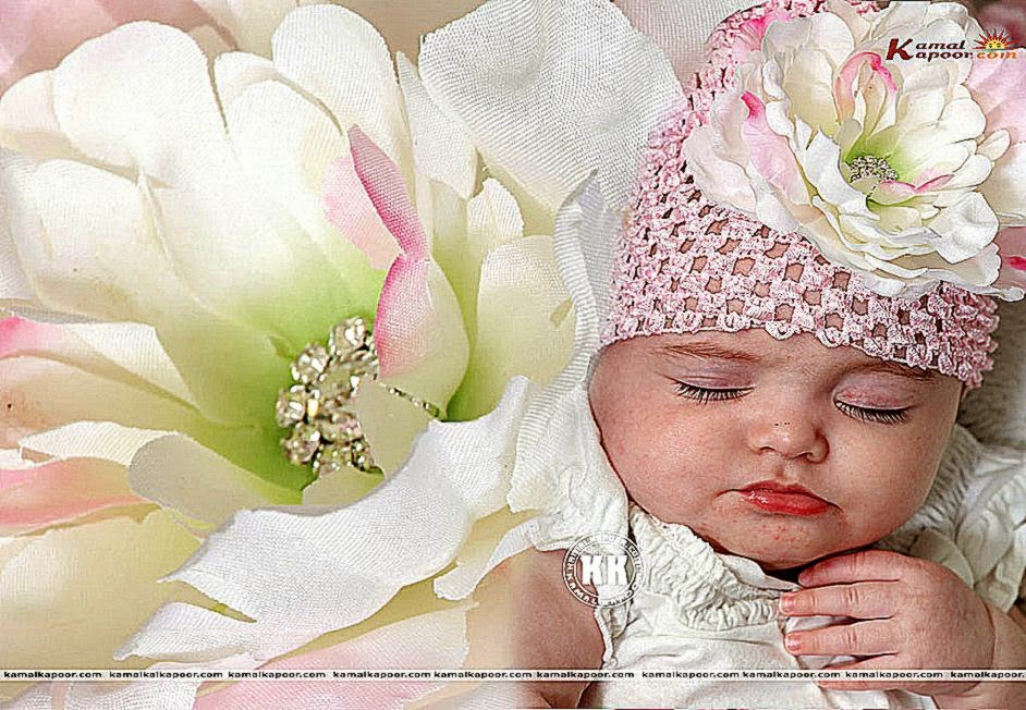 Cute Baby Sleep Rose Flower Wallpapers Hd Background Wallpaper