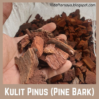 Kulit Pinus Pine Bark Nugget