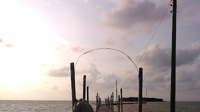 Nikmati Semilir Angin Pantai di Pinggiran Demak