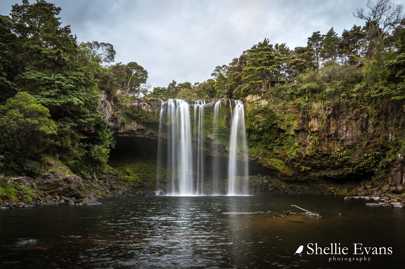 Two Go Tiki Touring Rainbow Falls NZMCA Park, Kerikeri