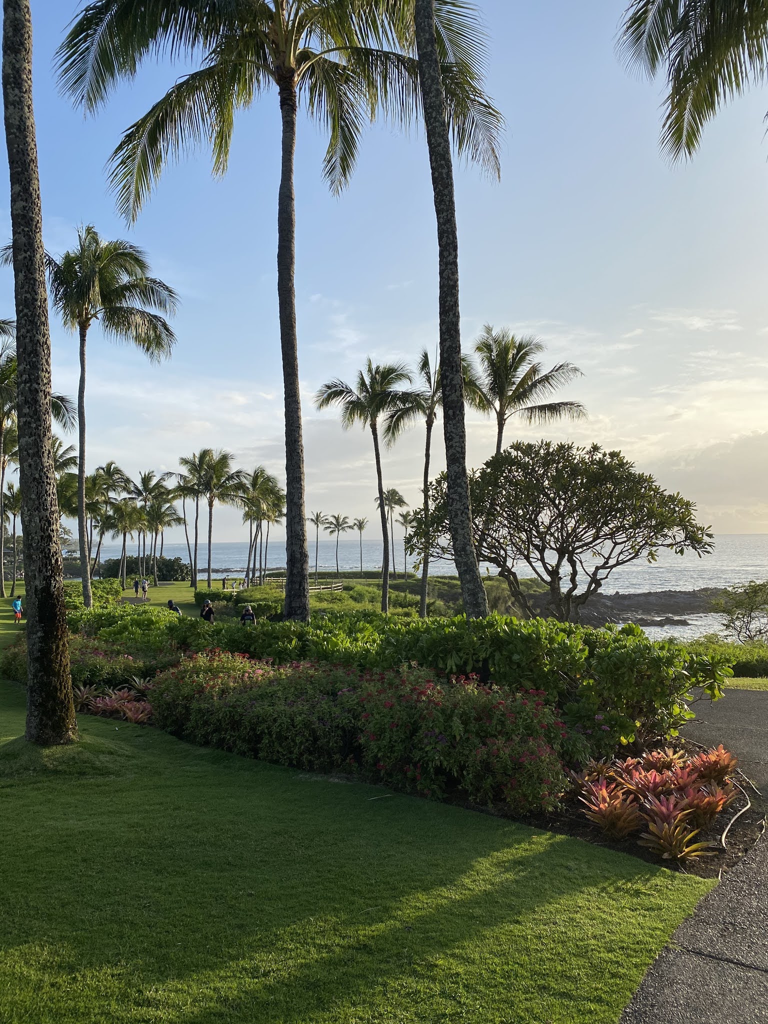 The Ultimate Travel Guide for Maui, Hawaii | Traveling to Hawaii During the Pandemic | Maui Hawaii Hikes | Best Hotels in Maui | Best Hikes in Maui | Where to Eat in Maui | Hawaii Travel Guide