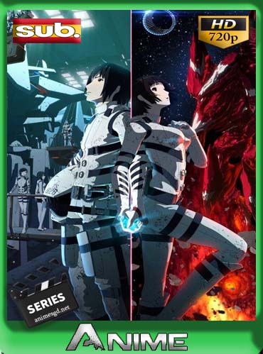 Sidonia no Kishi [12/12] HD [720P] sub español [GoogleDrive] dizonHD 