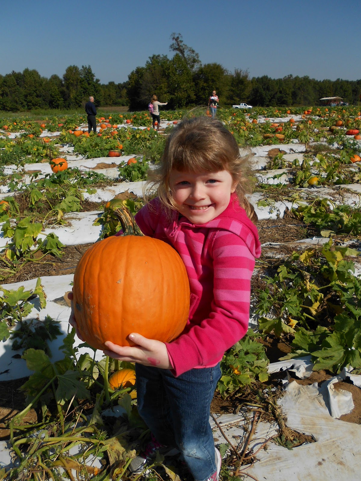 The Davis Family: Pumpkin Patch 2012