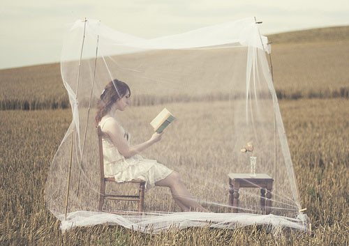 Some books leave us free and some books make us free. ~ Ralph Waldo Emerson