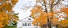 20 BEST WAYS TO SELL QUALITY TREE CARE