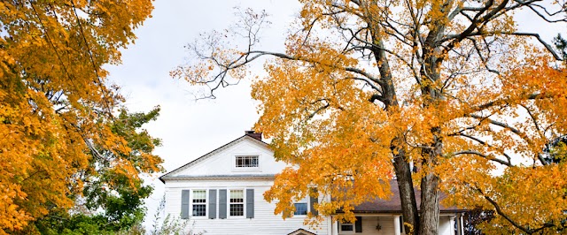 20 BEST WAYS TO SELL QUALITY TREE CARE