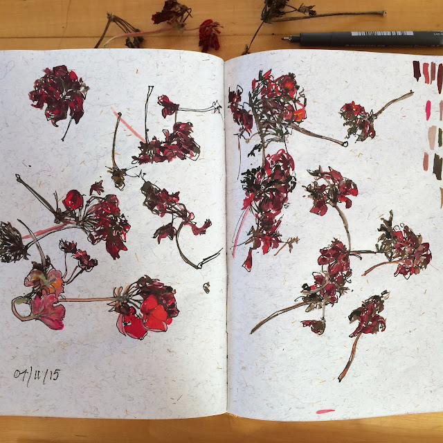 Sonia Brittain, Sketchbooks, Nature Sketching, plants, flowers, Sketchbook Conversations, My Giant Strawberry