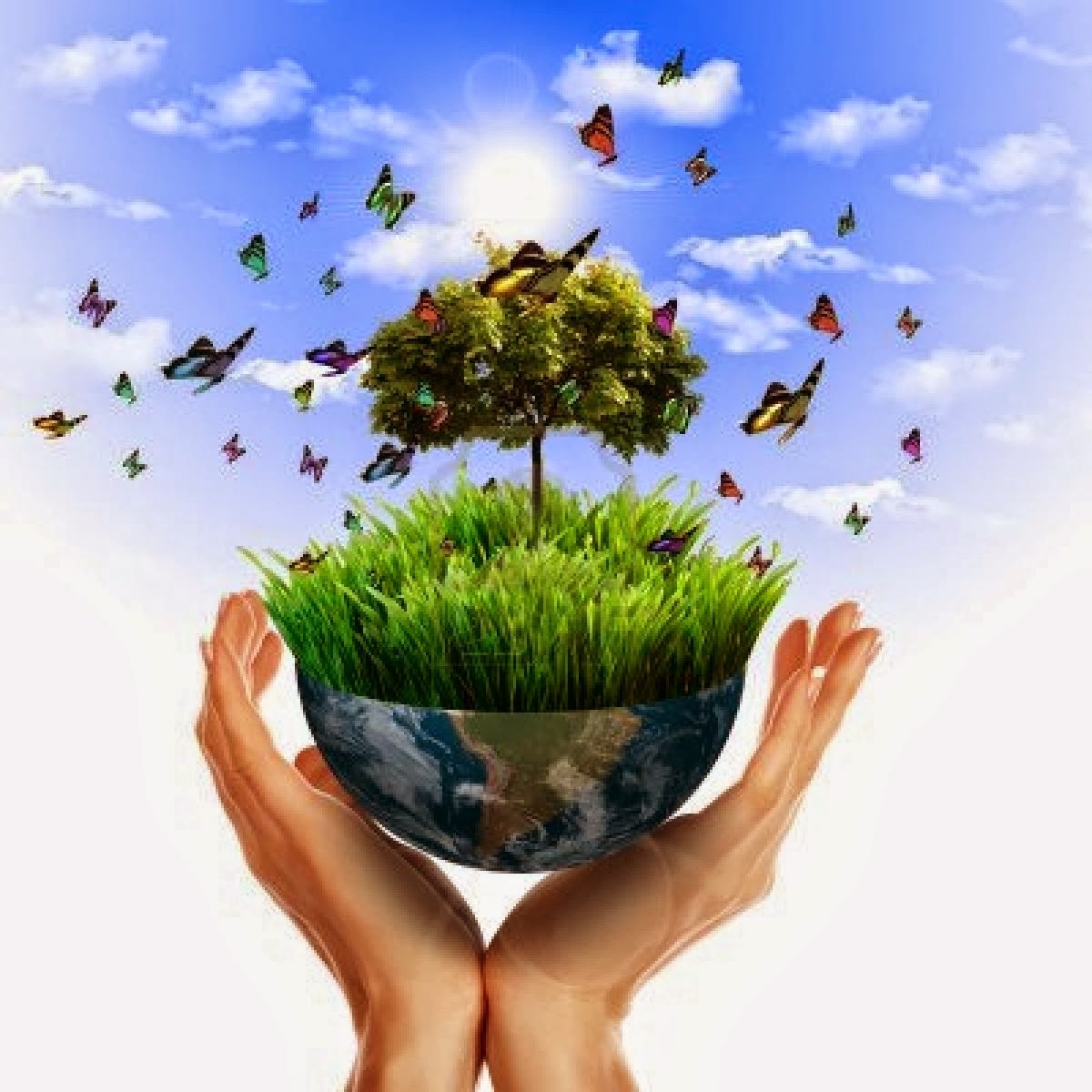 greenpeace-la-ong-por-excelencia-del-cuidado-del-medio-ambiente