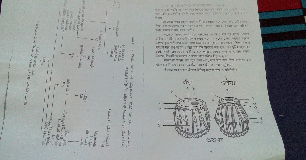 Membranophone Percussion Instrument (Tabla)