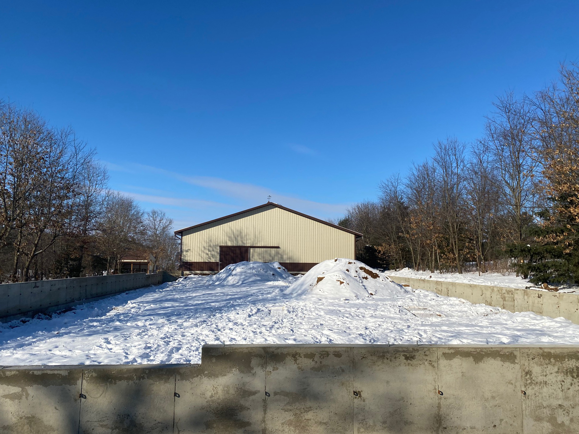 equine expressions a cold pause buildanarena