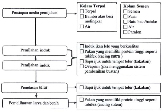 Proses Produksi Pembenihan Ikan Lele Bahan Pendukung