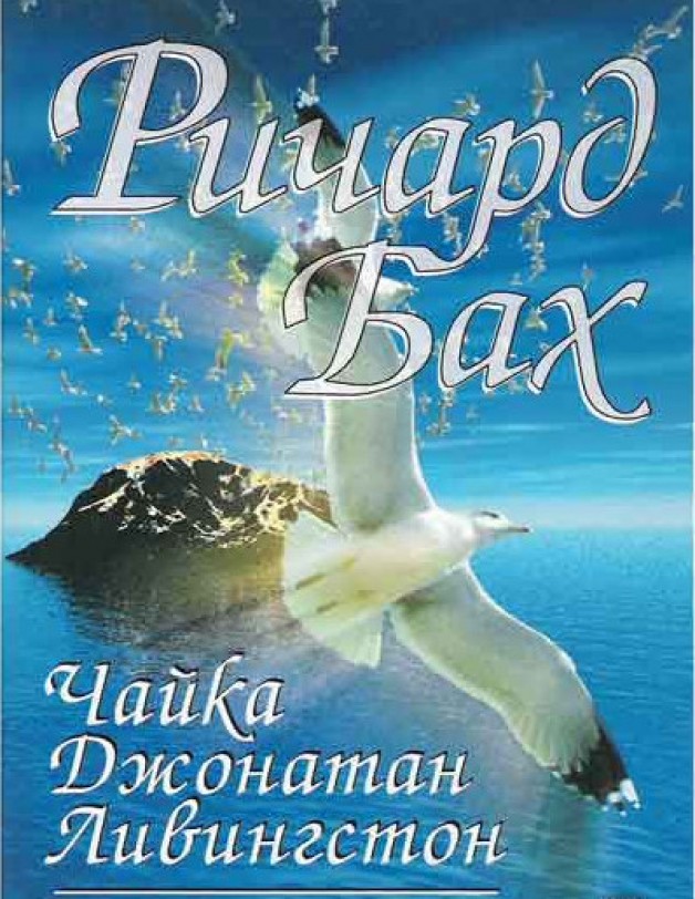 чайка джонатан ливингстон иллюстрации. читать книгу чайка джонатан ливингстон. чайка джонатан ливингстон. чайка ливингстон книга. чайка по имени ливингстон.