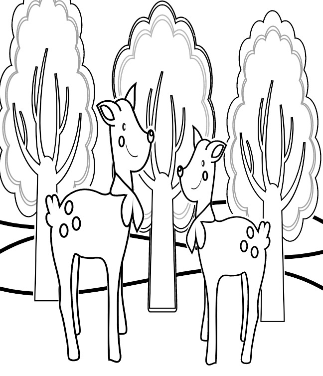 Animals Coloring Pages